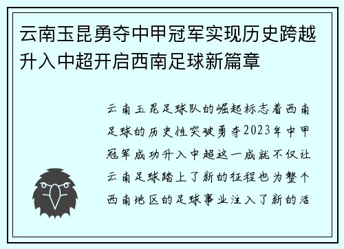 云南玉昆勇夺中甲冠军实现历史跨越升入中超开启西南足球新篇章